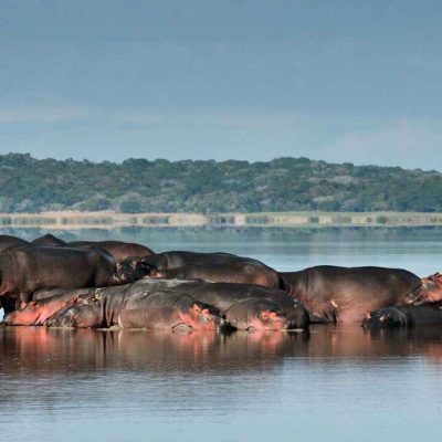 Parque Nacional de Maputo